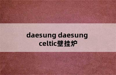 daesung daesung celtic壁挂炉